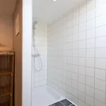 Pet-friendly Gerin